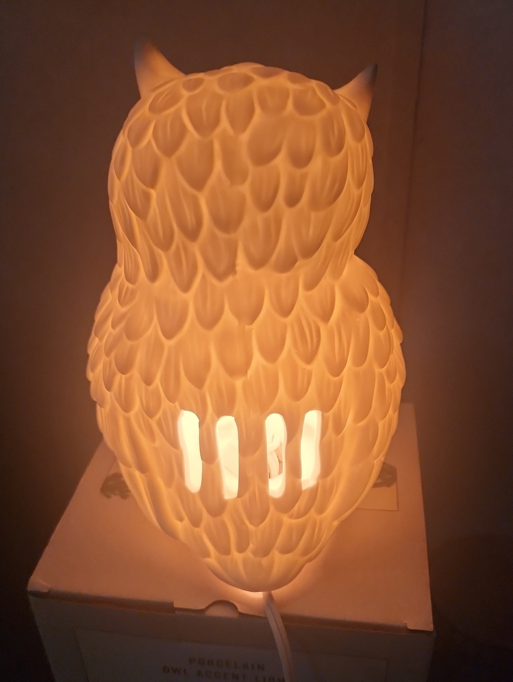 Porcelain Owl Accent Light - Matte White - Picture 3 of 3
